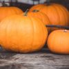 Pumpkin