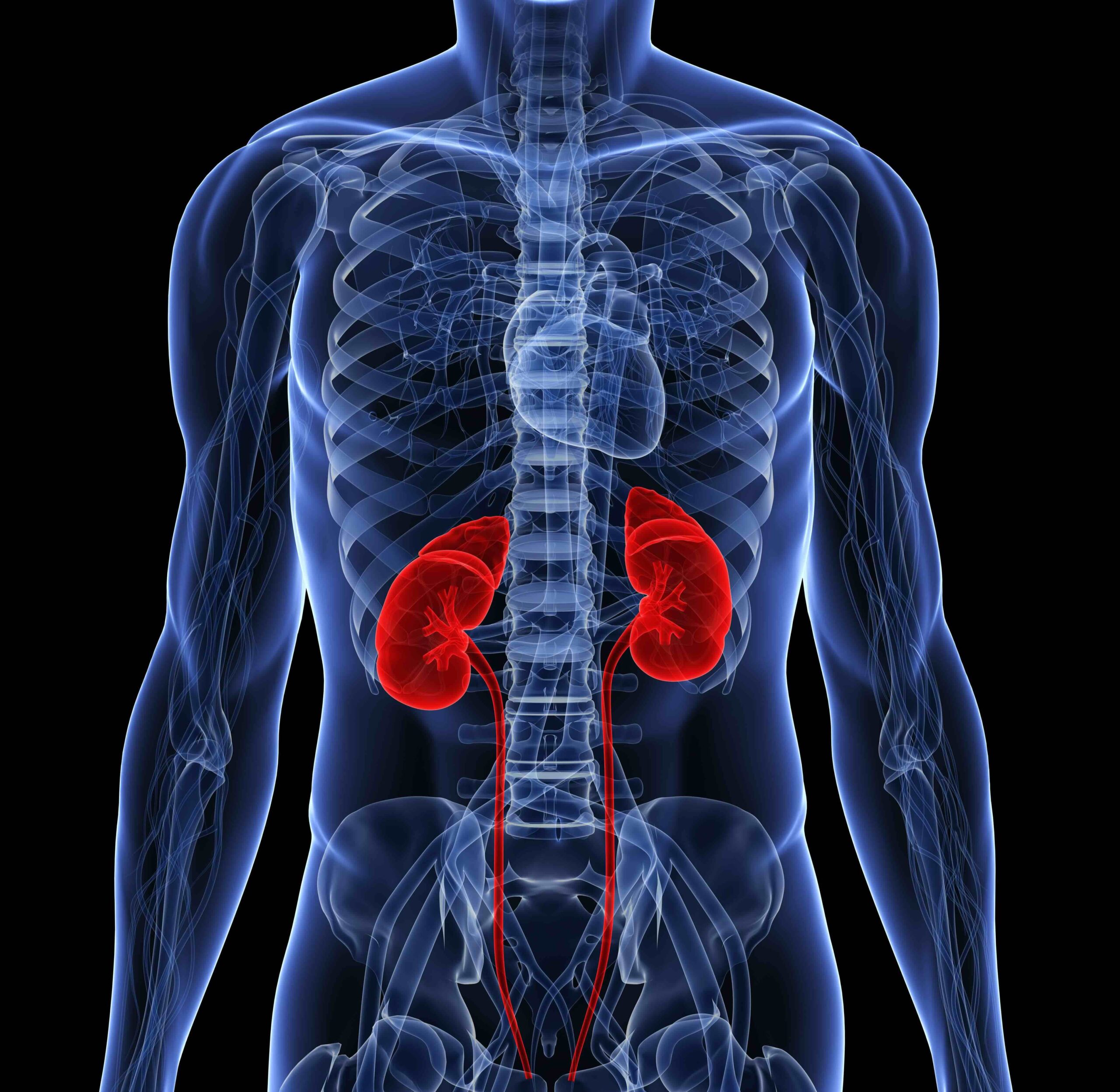 healthy-kidneys-and-food-my-nutrition-clinic